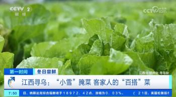 小雪节气 “菜篮子”也丰富 大棚蔬菜上市  冬笋、咸菜正当时 -图6