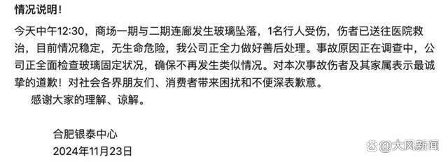 合肥银泰中心连廊玻璃高空坠落砸中一行人，商场回应称无生命危险并致歉  -图3