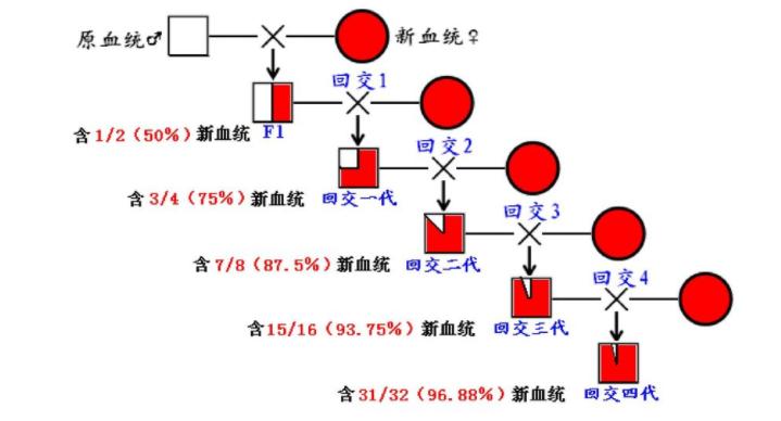 太空辐射能让人基因突变甚至死亡，为什么还能让植物种子变高产？  -图13