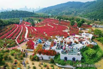 第四次到广西首府南宁，发现这几个景点非常值得打卡，好玩又好拍  -图3