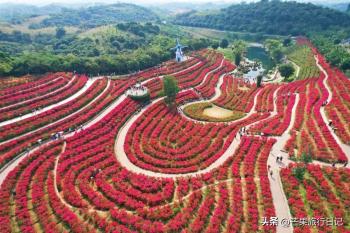 第四次到广西首府南宁，发现这几个景点非常值得打卡，好玩又好拍  -图4