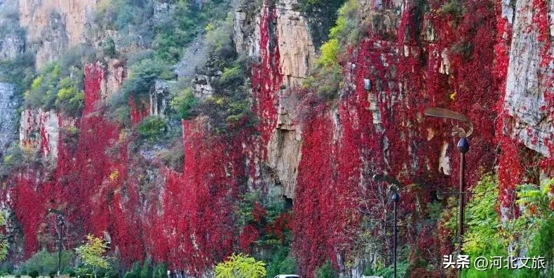 秋游河北悦山河 | 秋色袭人，保定野三坡免费景点等你来“撩”！  -图2