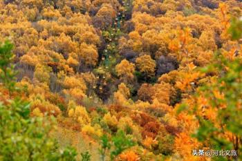 秋游河北悦山河 | 秋色袭人，保定野三坡免费景点等你来“撩”！  -图6