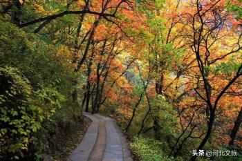 秋游河北悦山河 | 秋色袭人，保定野三坡免费景点等你来“撩”！  -图9