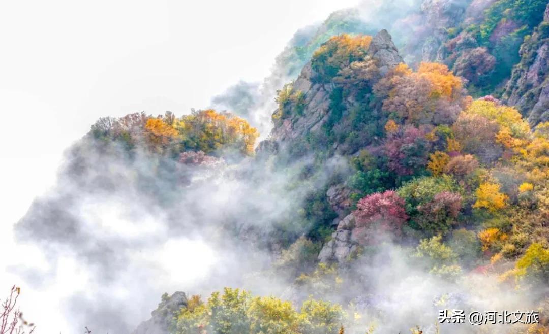 秋游河北悦山河 | 秋色袭人，保定野三坡免费景点等你来“撩”！  -图10