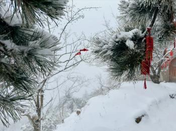 还在下！达到暴雪量级！泰山积雪深度已达10厘米  -图4