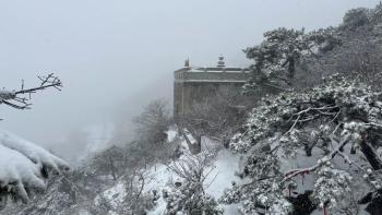 还在下！达到暴雪量级！泰山积雪深度已达10厘米  -图3