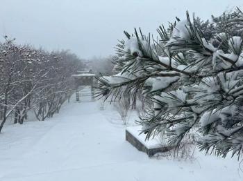 还在下！达到暴雪量级！泰山积雪深度已达10厘米  -图7