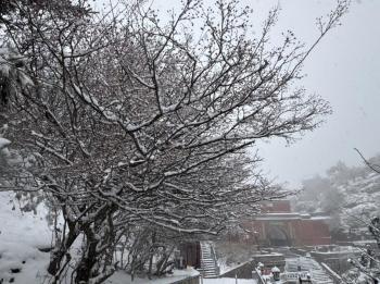 还在下！达到暴雪量级！泰山积雪深度已达10厘米  -图9