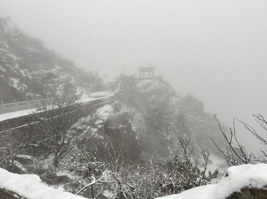 还在下！达到暴雪量级！泰山积雪深度已达10厘米  -图10