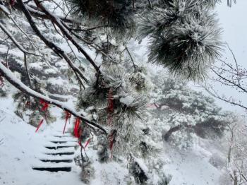 还在下！达到暴雪量级！泰山积雪深度已达10厘米  -图14