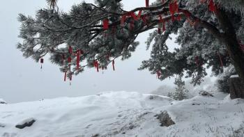 还在下！达到暴雪量级！泰山积雪深度已达10厘米  -图17