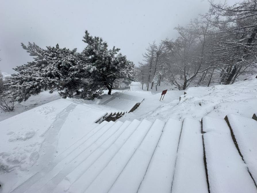 还在下！达到暴雪量级！泰山积雪深度已达10厘米  -图15