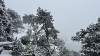 还在下！达到暴雪量级！泰山积雪深度已达10厘米  -图16