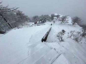 还在下！达到暴雪量级！泰山积雪深度已达10厘米  -图21