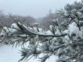 还在下！达到暴雪量级！泰山积雪深度已达10厘米  -图19