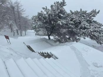 还在下！达到暴雪量级！泰山积雪深度已达10厘米  -图18