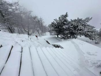 还在下！达到暴雪量级！泰山积雪深度已达10厘米  -图20