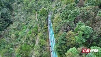 冬游张家界 邂逅十里画廊山水画卷  -图2